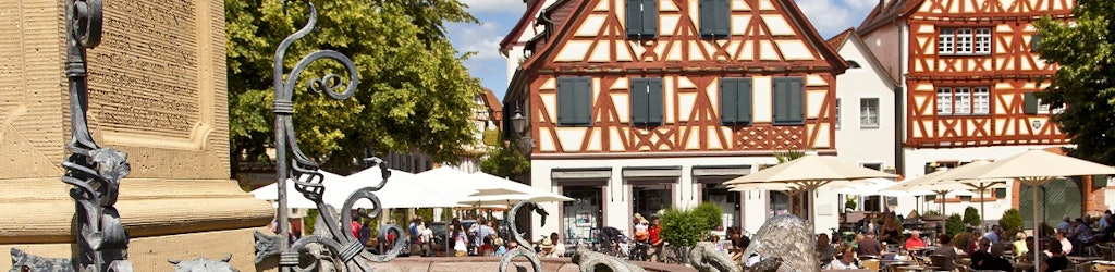 Things to do in Ladenburg