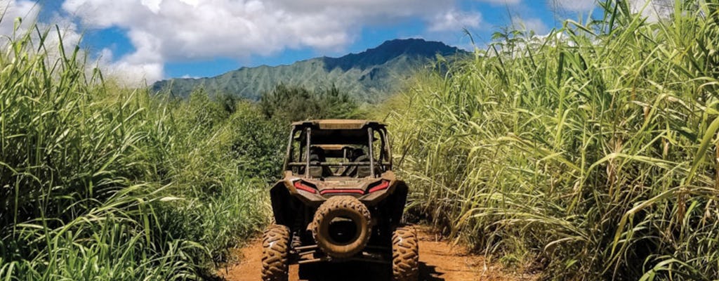 Tour guidato della cascata di Kauai ATV