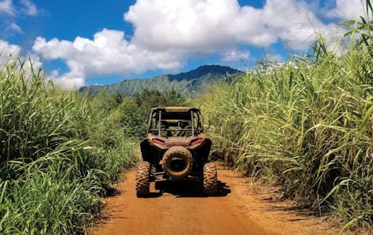 Kauai ATV waterval rondleiding