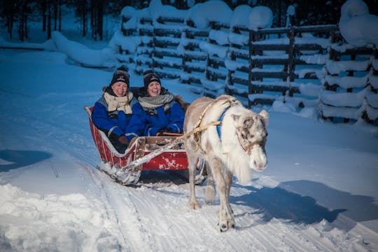 Twilight reindeer sleigh ride in Levi