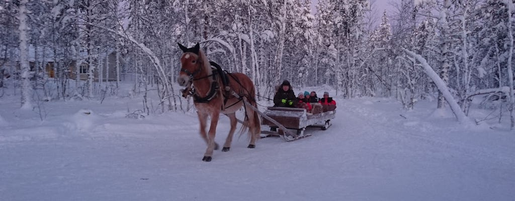 Levi horse sleigh ride at twilight