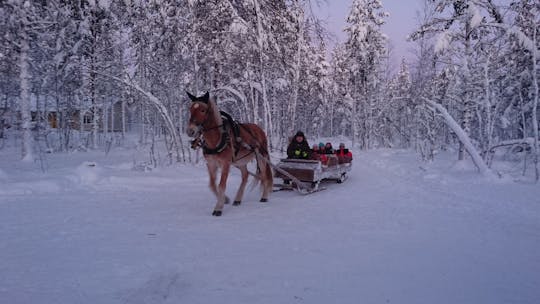 Levi horse sleigh ride at twilight