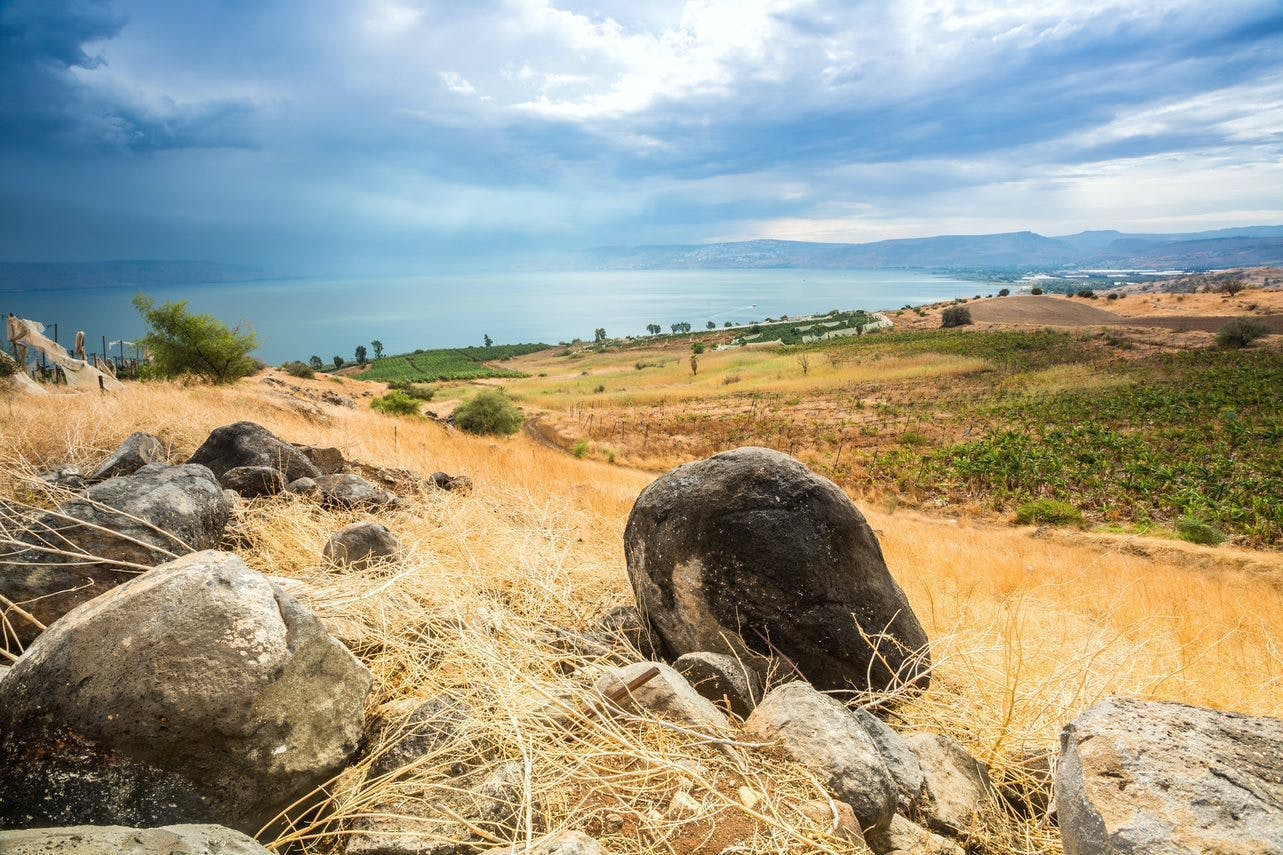 Tour di un'intera giornata della Galilea occidentale con trasporto da e per Herzeliya