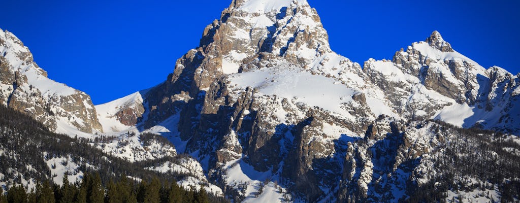 Avventura privata con racchette da neve per l'intera giornata e osservazione della fauna selvatica nel Grand Teton National Park