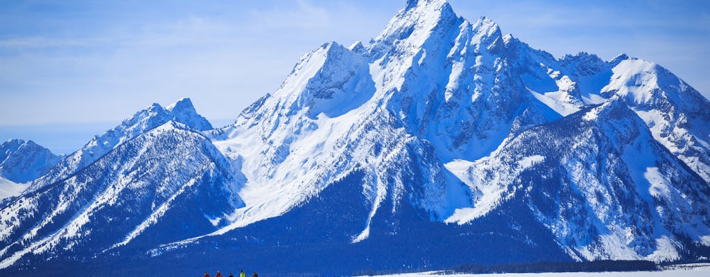 Aventure privée d'une demi-journée en raquettes à un rythme tranquille dans le parc national de Grand Teton