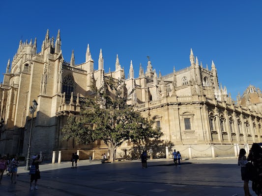 Sewilla Alcázar i wycieczka z przewodnikiem po katedrze z biletami wstępu priorytetowego