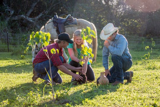 Tour a cavallo nella foresta Legacy delle Hawaii