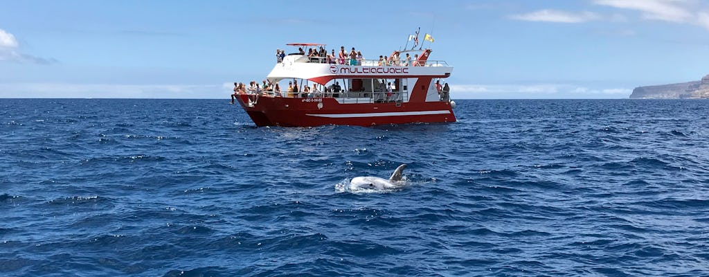 Dolphin Safari & Mogan Market