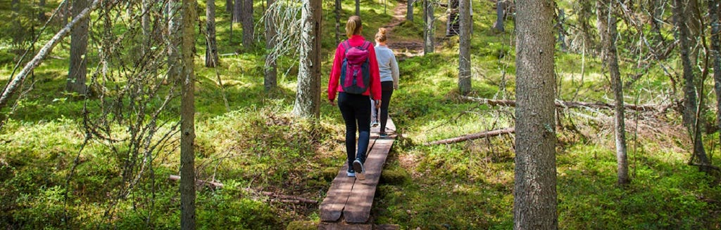 La visite guidée du patrimoine finlandais au parc national de Seitseminen