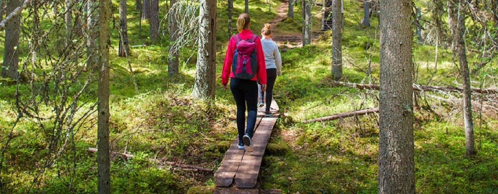 O tour guiado da herança finlandesa no Parque Nacional de Seitseminen