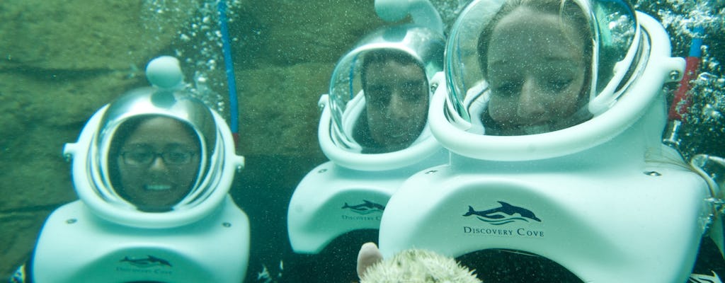 SeaVenture no Discovery Cove 2025