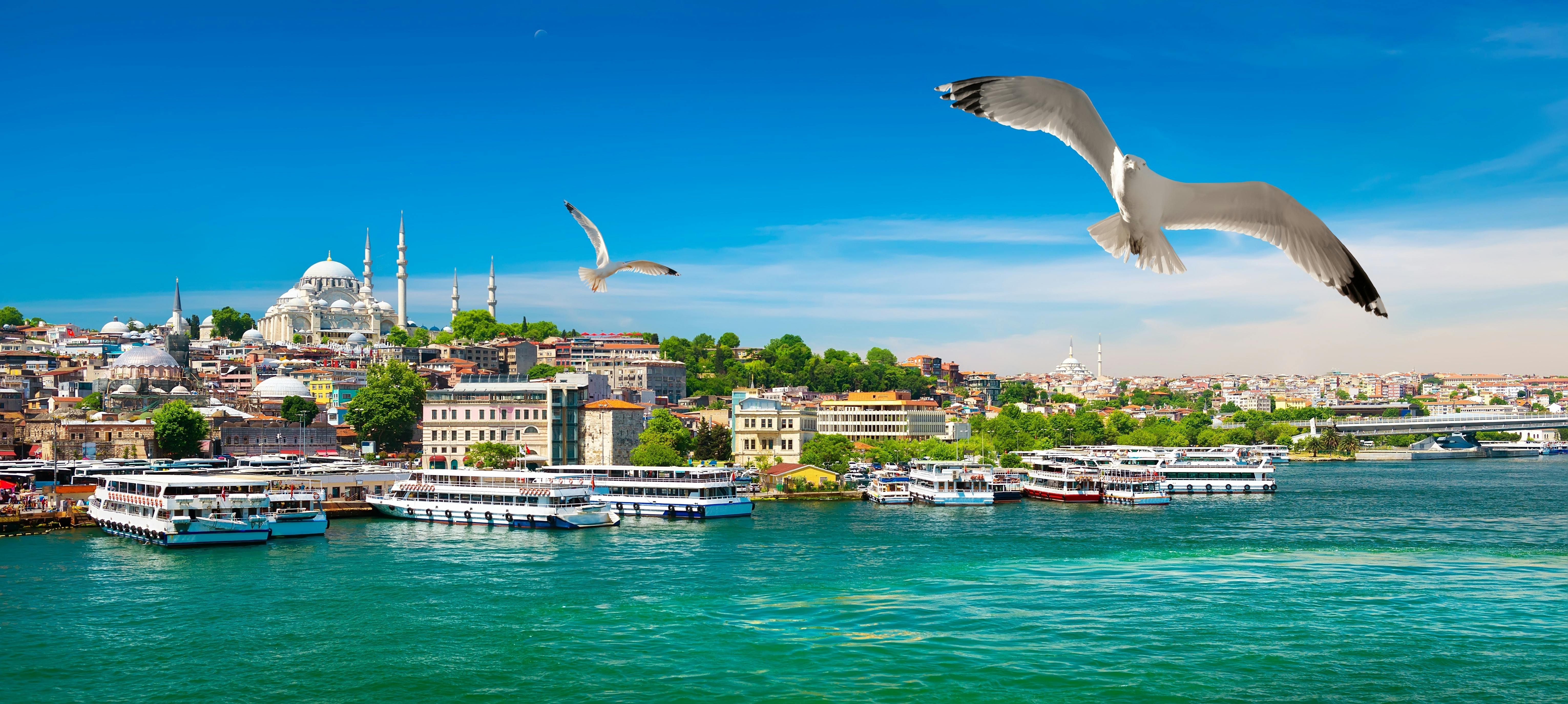 Entdecken Sie den Bosporus, die Blaue Moschee, den Topkapi-Palast und die Basilika-Zisterne