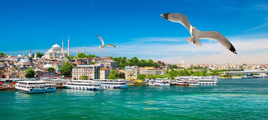 Ontdek de Bosporus, de Blauwe Moskee, het Topkapi-paleis en de Basilica Cisterne