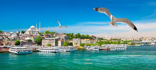 Discover the Bosphorus, Hagia Sophia, Topkapi Palace and Basilica Cistern