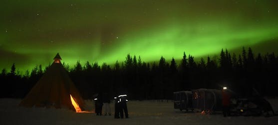 Visite nocturne des aurores boréales et des huskys à Apukka