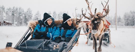 Esperienza con la slitta trainata da renne di Rovaniemi