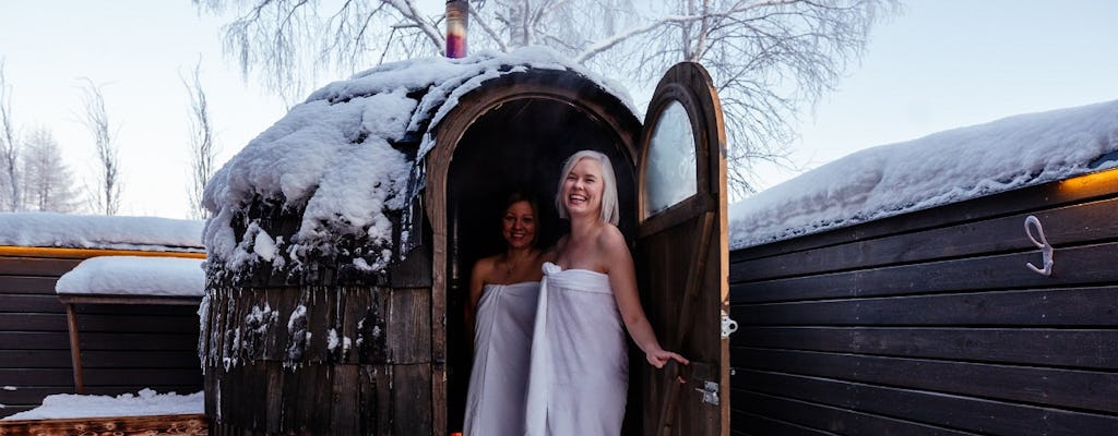Esperienza in carrozza sauna a Rovaniemi