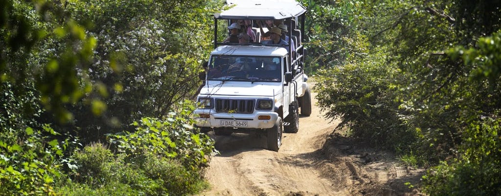 Safari privé au parc national d'Uda Walawe depuis la région de Negombo