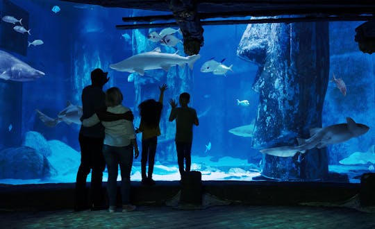 Sea Life London Aquarium: Bilhetes