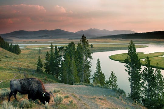 Visite audio autonome du parc national de Yellowstone