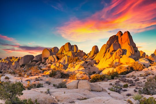 Recorrido en audio autónomo por el Parque Nacional Joshua Tree