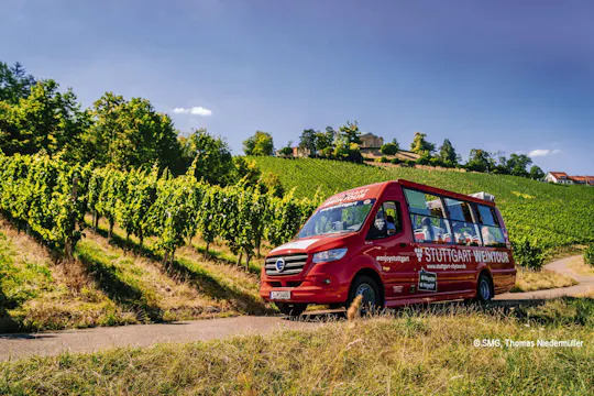 Excursión de 24 horas en autobús hop-on hop-off por Stuttgart - ruta azul y del vino