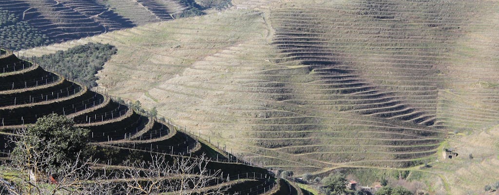 Douro Valley tour with wine tasting and boat ride