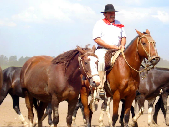 Estancia Santa Susana Gaucho day tour from Buenos Aires
