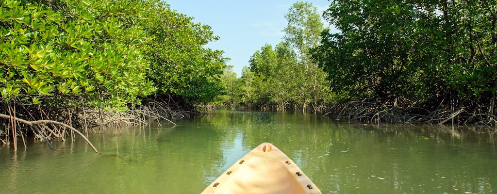 Kajaktour auf dem Mangrovenfluss in Langkawi