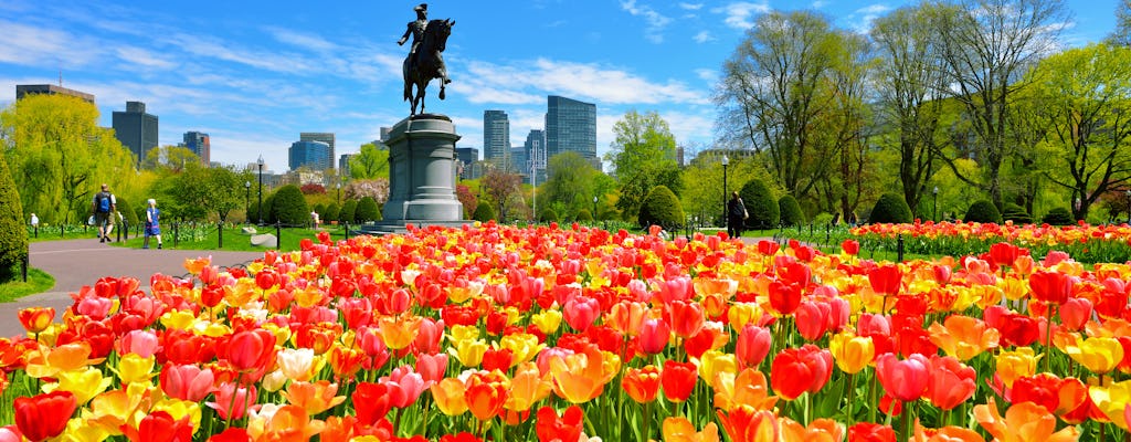 Zelfgeleide wandeltocht door Boston Freedom Trail