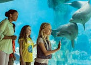 SeaWorld San Diego Single day Ticket Musement