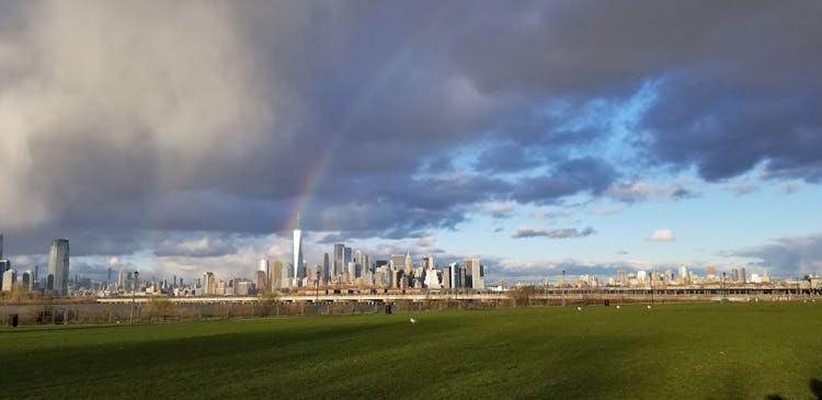 New York City skyline day tour