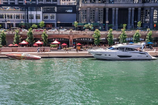 Chicago Super Saver Combo Tour: Millennium Park en Riverwalk