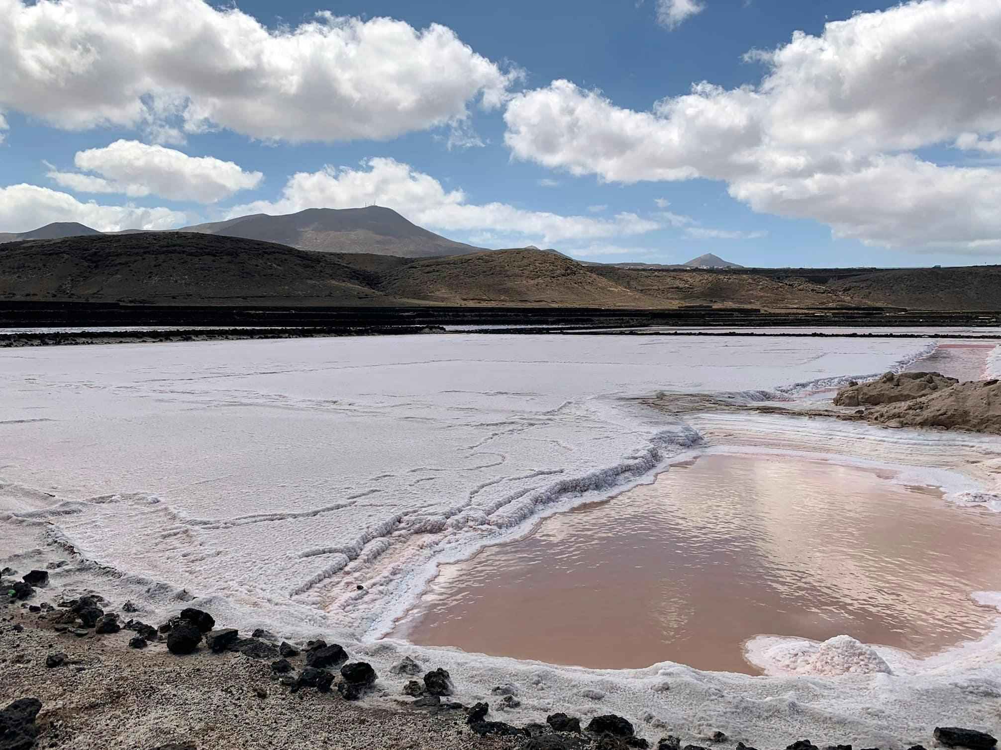 Salinas de Janubio Salt Flats Ticket