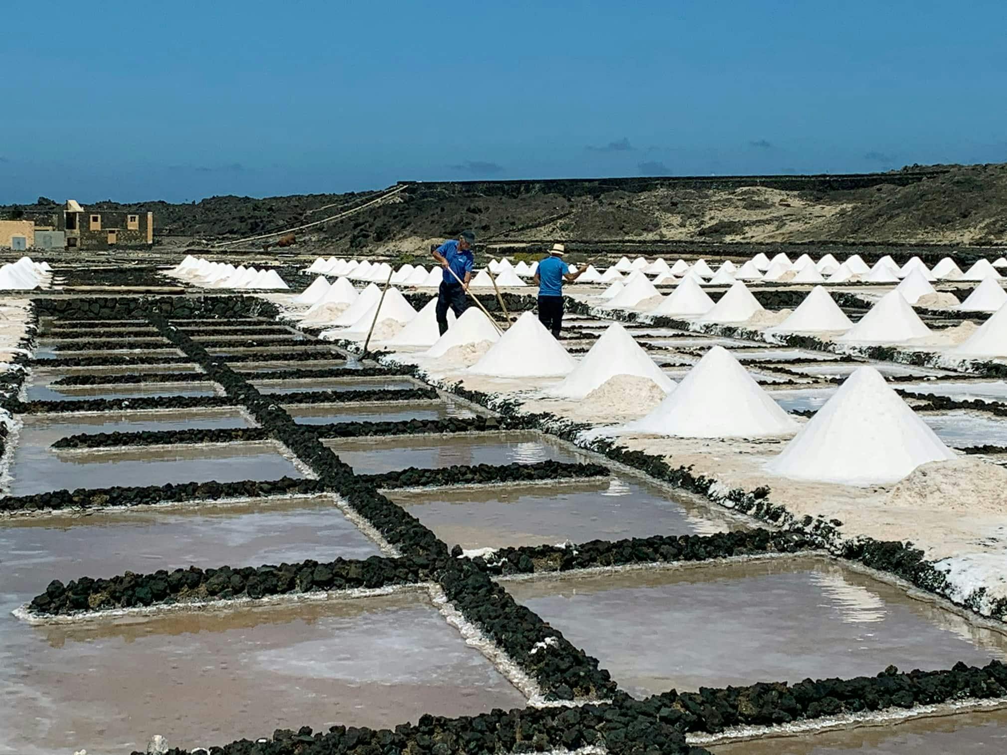 Salinas de Janubio Salt Flats Ticket