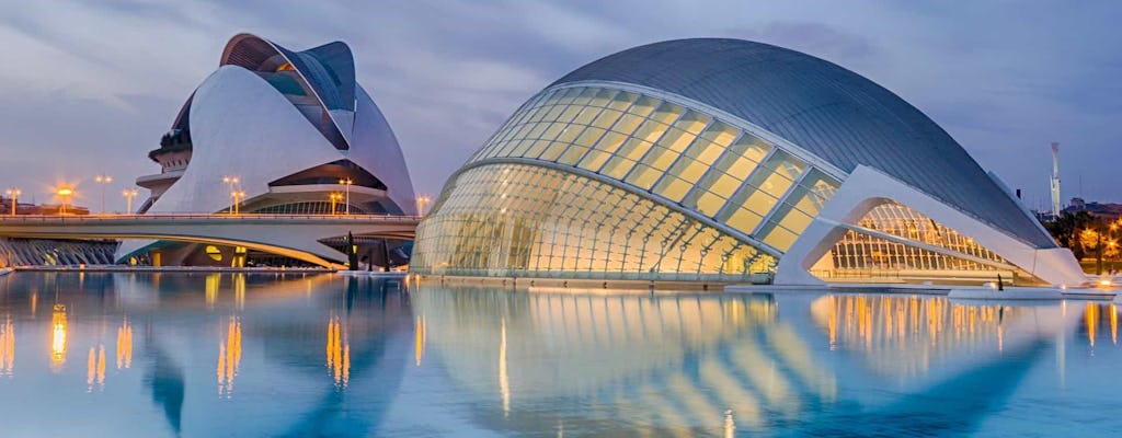 Highlights of Valencia private walking tour