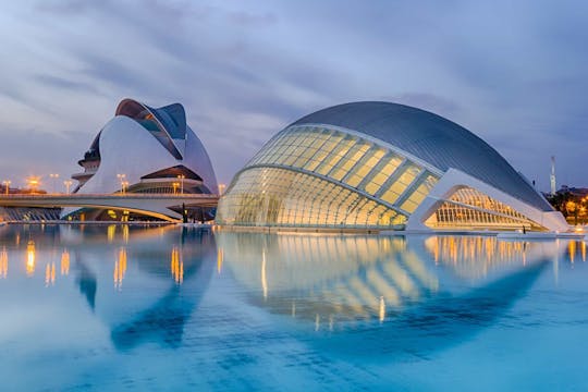 Highlights of Valencia private walking tour