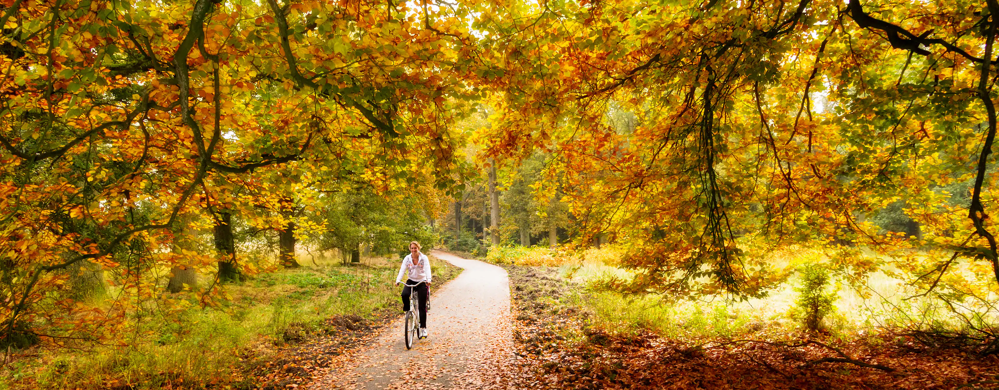 Parc national de Hoge Veluwe : billets et visites
