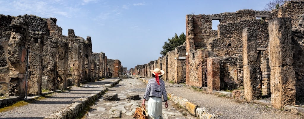 Ticket ohne Anstehen für die Ruinen von Pompeji und Audioguide