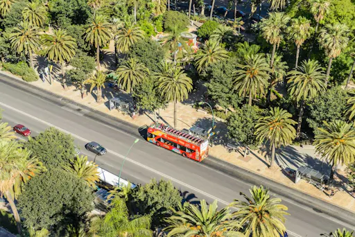 202110086160485cd8b10.jfif