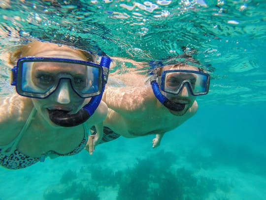 Vela da picnic con snorkeling da St. Thomas