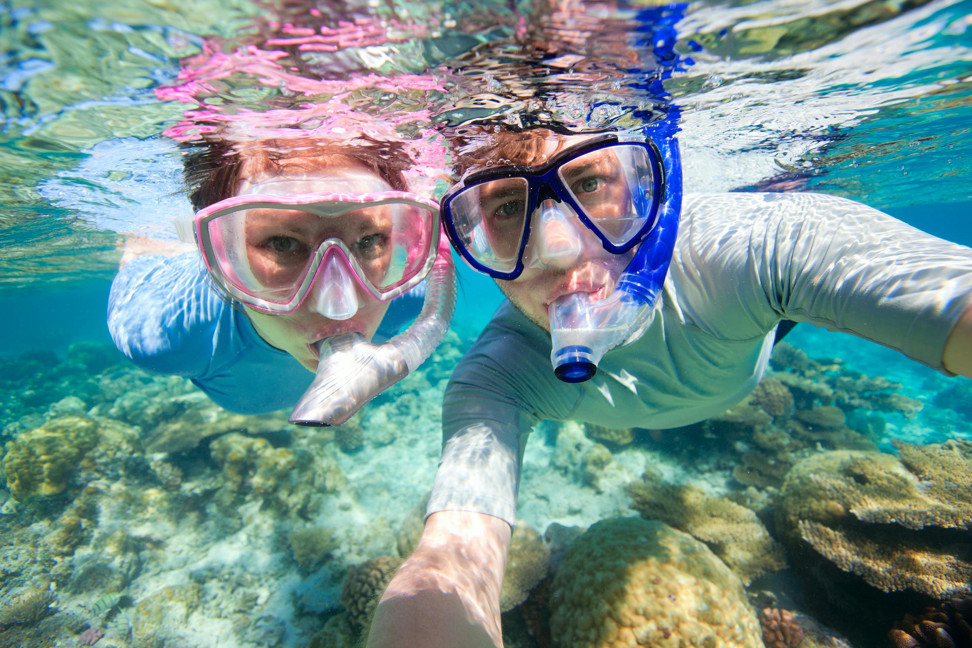 Picknick snorkelzeil vanuit St. John