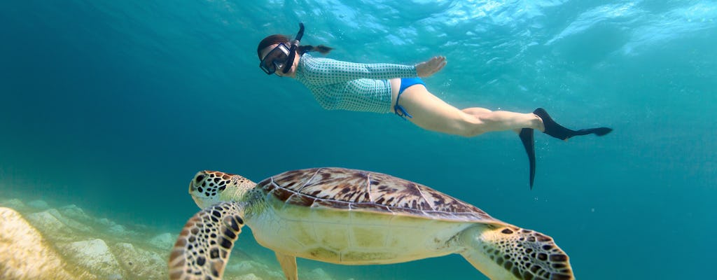 Парус для подводного плавания с черепахой в бухте Махо