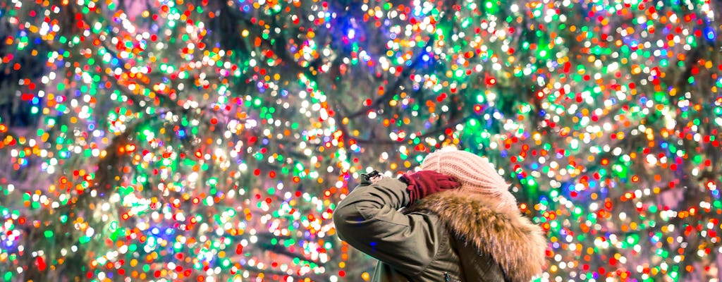 Magic Christmas private tour in New York
