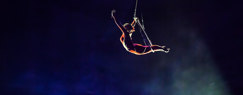 The Big Apple Circus: reinventado, reinventado, revitalizado