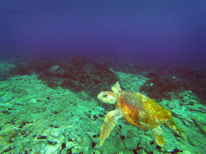 Cabo de Gata Natural Park kayak and snorkeling tour