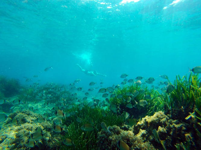 Cabo de Gata Natural Park kayak and snorkeling tour