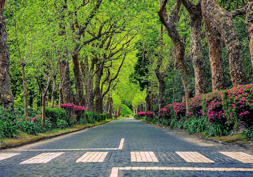Lagoa de Furnas to Caldeiras Mountain Bike Tour