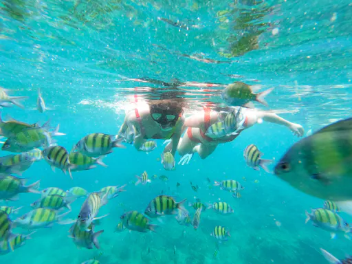 Garrafon Natural Reef Park Premium Ticket