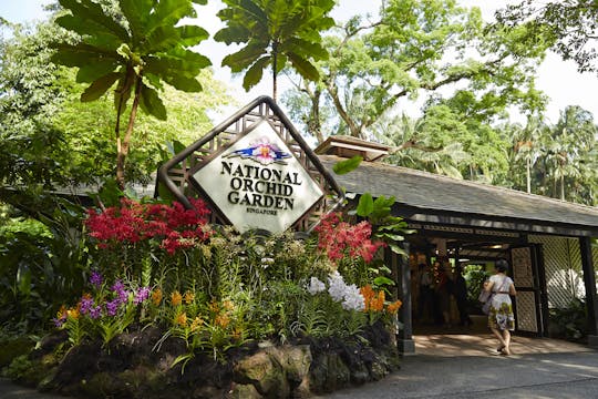 Entradas al Jardín Nacional de Orquídeas de Singapur